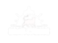 LOGO-WEB.png