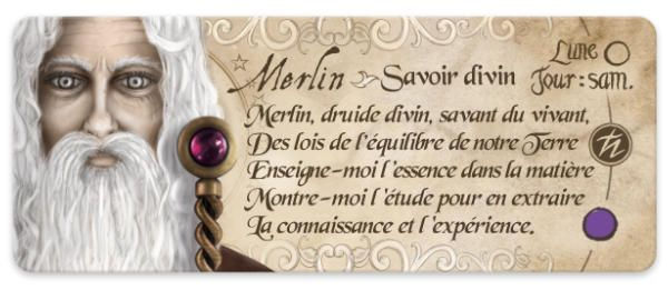 Miniature : Le petit oracle (grimoire) de Magie