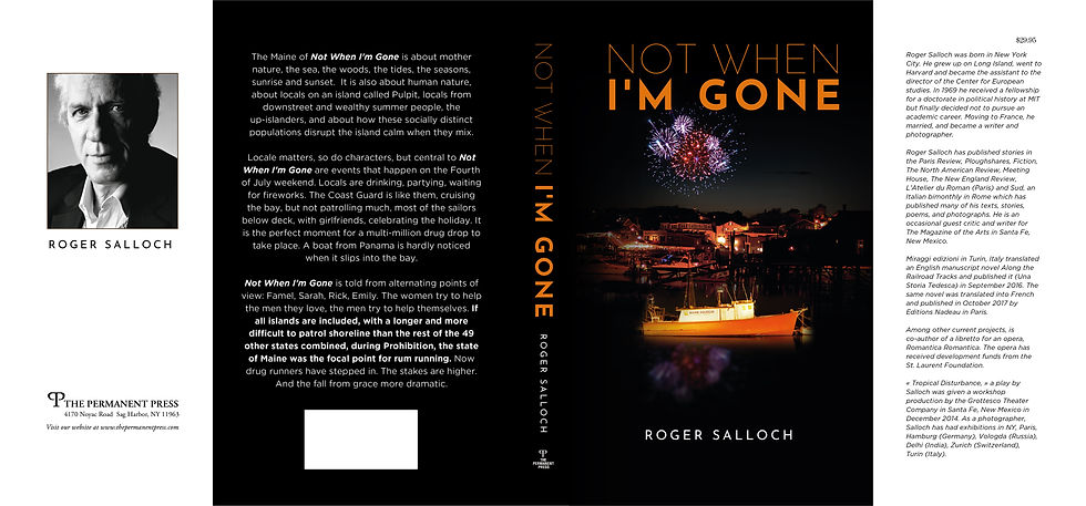 NotWhenI'mGone_BOOKCOVER_04-01 2.jpg