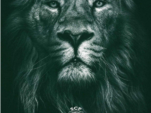 Afonso Pinto Coelho 04/12/2020 - Relatório & Contas Sporting SAD 2020/2021 - Primeiro Trimestre