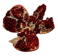 Untitled336_20260909144653.png
