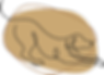 brown-dogs-illustration_4x.png