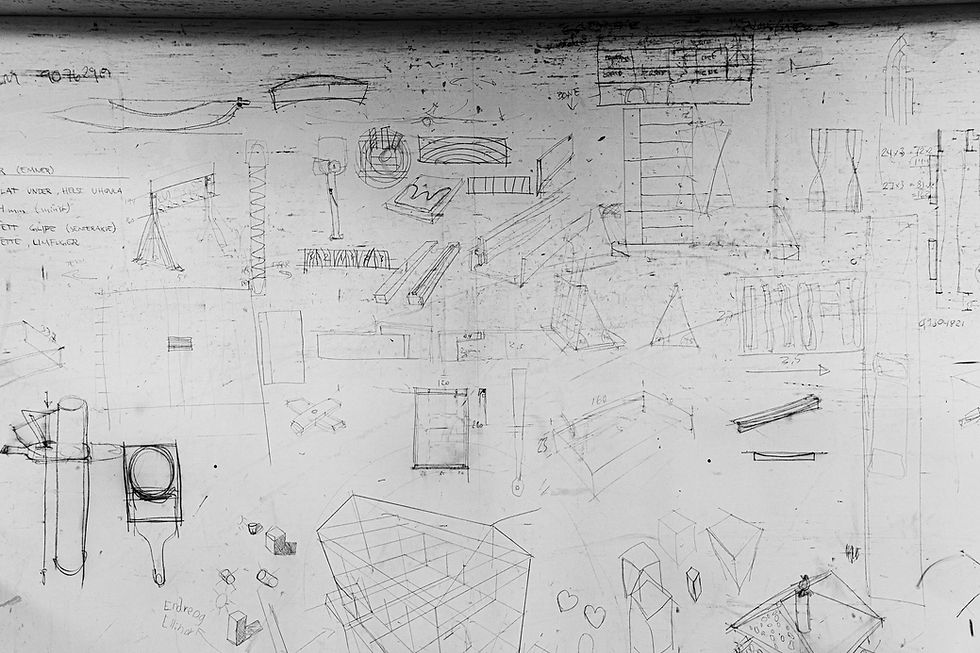 Hedvig Fjøsne_EVI_Master-74.jpg