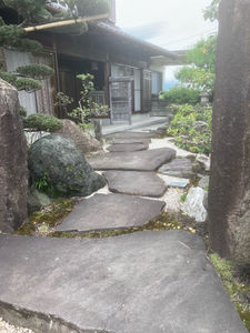 image3.jpeg