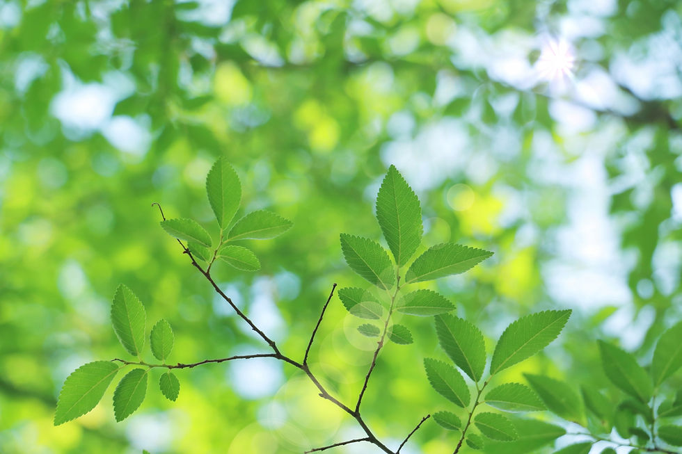 心を込めてお手伝い