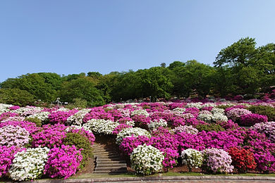 鯖江市公園