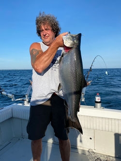 salmon off bald eagle