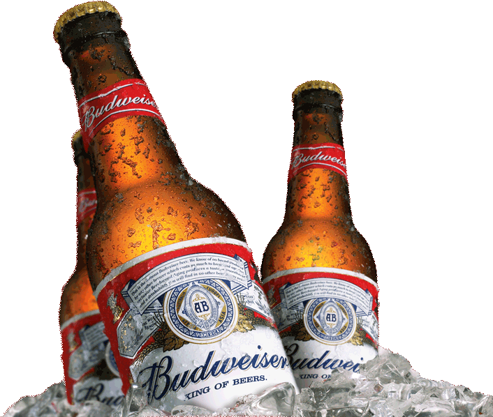 budweiser-bottle-png-14.gif