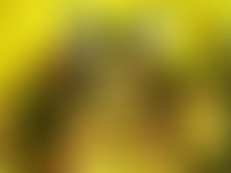 Kilimanjaro: Day 5 | Barafu Camp