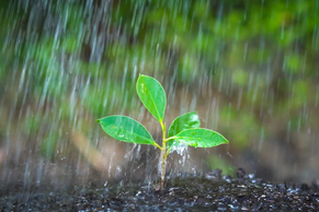 Chuvas fortes e risco de granizo: Inmet alerta Mato Grosso, Minas Gerais, Goiás, Acre, Amazonas e Espírito Santo