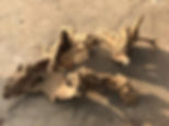 copy of Driftwood