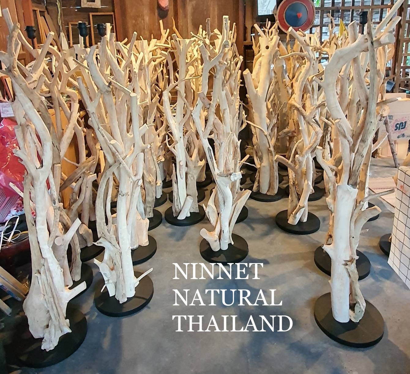Natural tree lamp