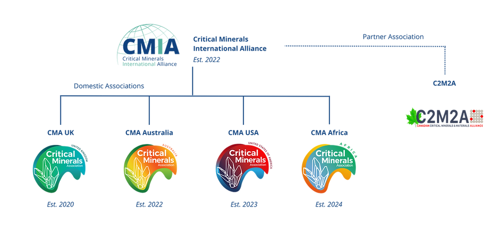 Copy of CMIA Structure Graphic-3.png
