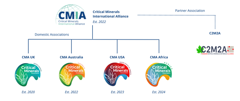 Copy of CMIA Structure Graphic-3.png