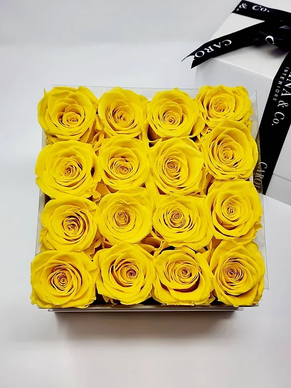 Thumbnail: 1 of 1 (16PC WHT BOX)