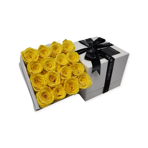 1 of 1 (16PC WHT BOX) | Carolina & Co.