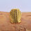 Thumbnail: Sun-Kissed Shell Ring