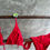 Thumbnail: FLAME BIKINI