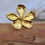 Thumbnail: Wildflower Glow Ring