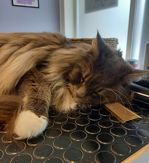 20240817_133022 (1).jpg