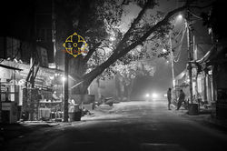 Vrindavan Parikrama Marg