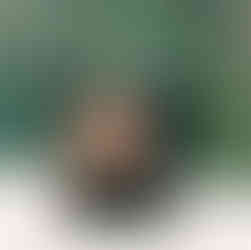 Luxury handmade candles from Thailand – Unneeed Signature Collection