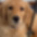 2ca41ee00925409c9db8f5a41a53d004 - frame at 0m1s.jpg