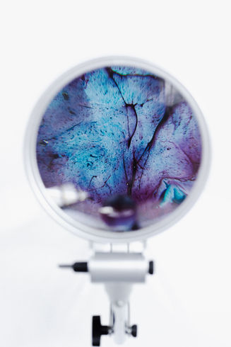 installation, artcontemporain, loupes, microcosme, macrocosme, waterart, scienceart