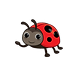coccinelle.png