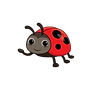 coccinelle.png