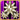 rank_icon48.gif