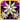 rank_icon50.gif