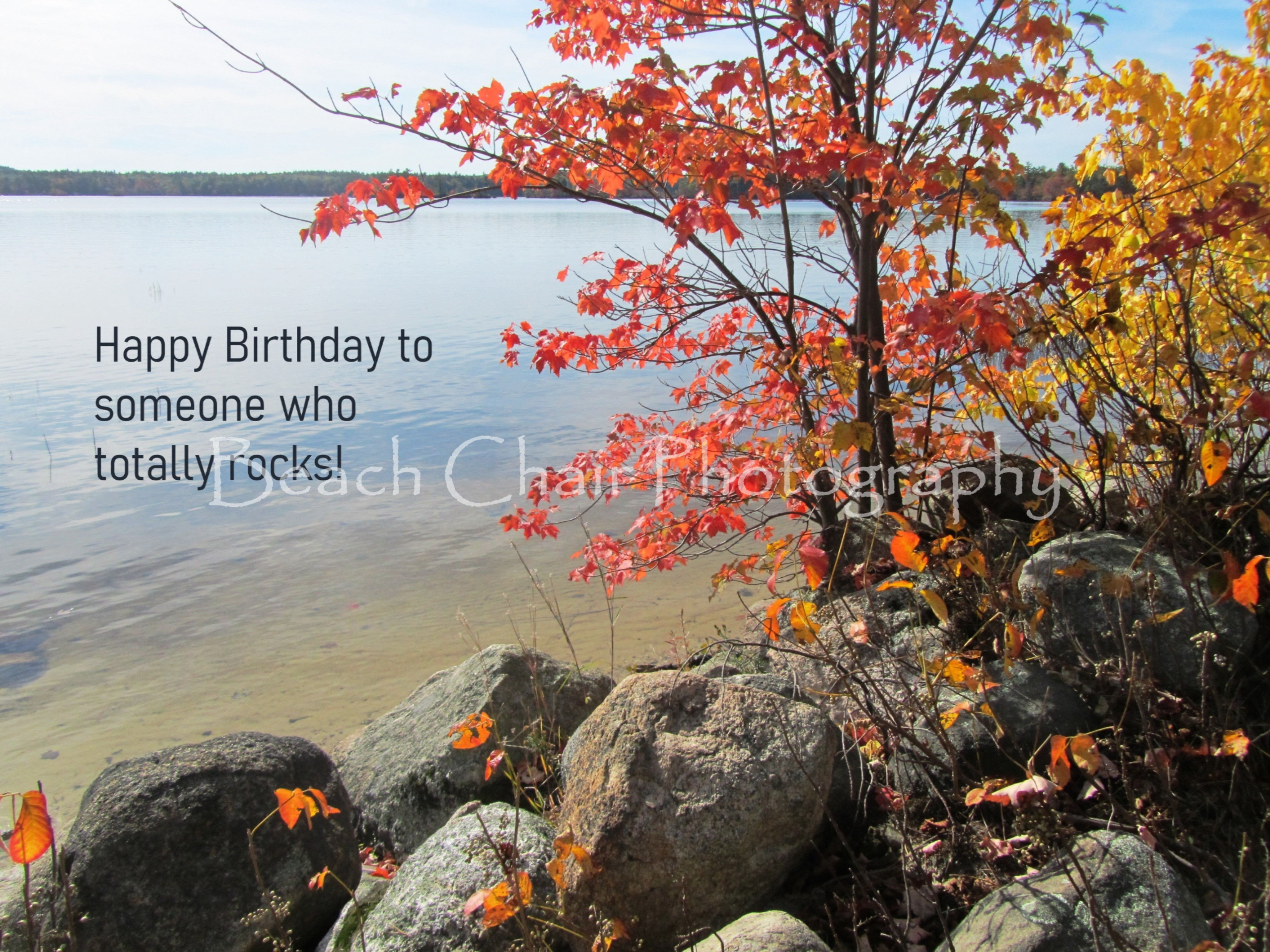 Totally Rocks Birthday