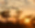 ILM#3.jpg