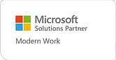 Solution partner (1).png