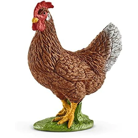 hen 1.webp