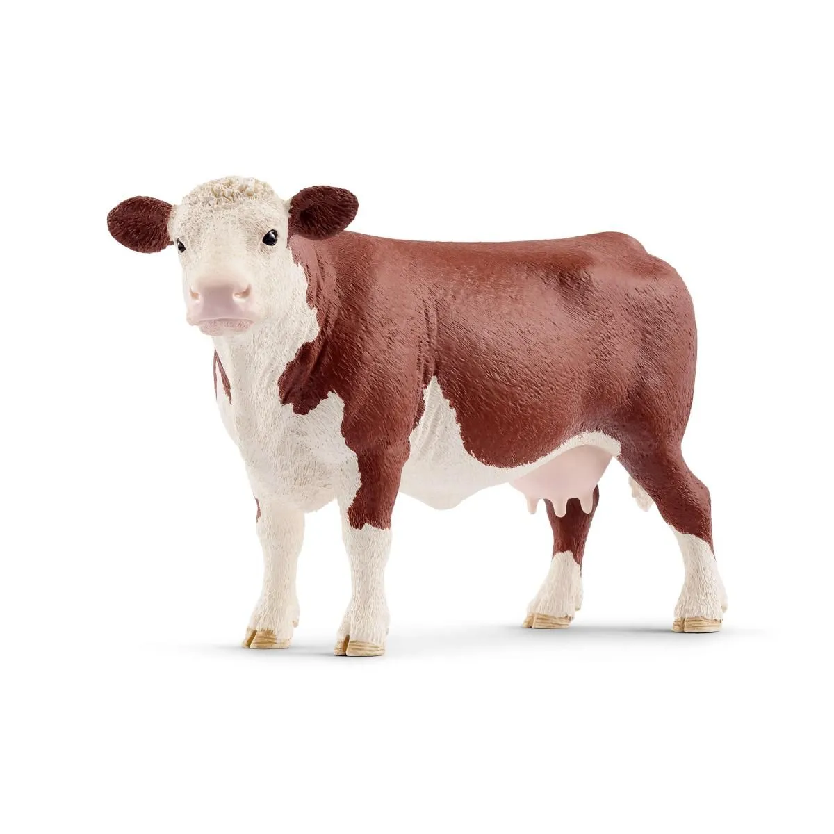 hereford cow #2.webp