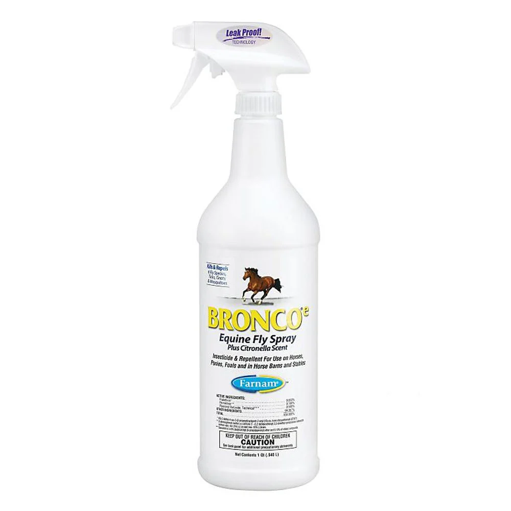 bronco.webp