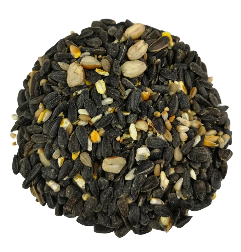 wild bird black.webp