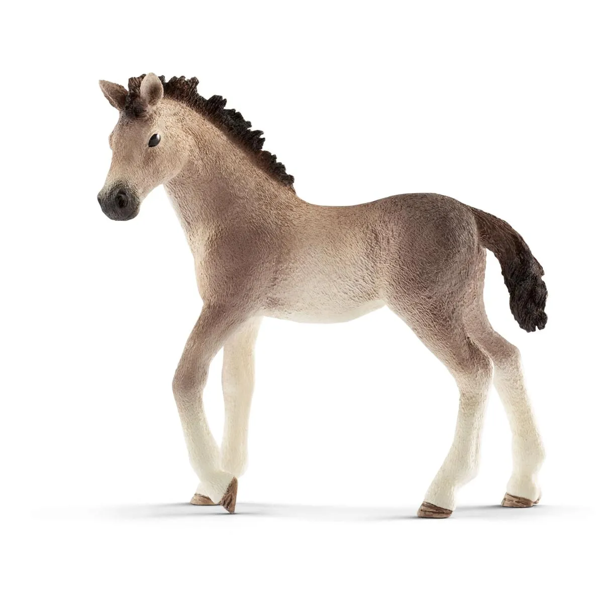foal.webp