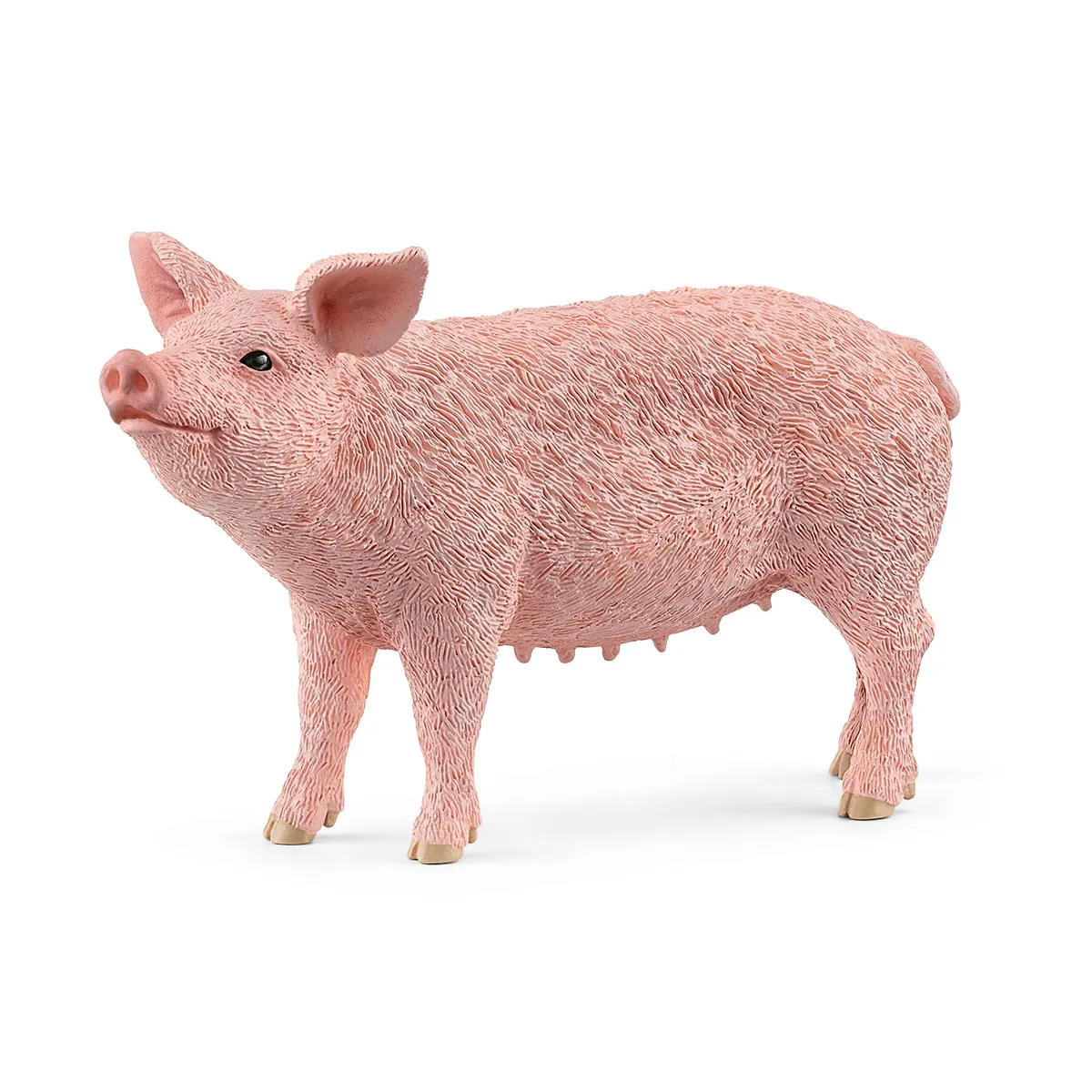 pig mom.webp