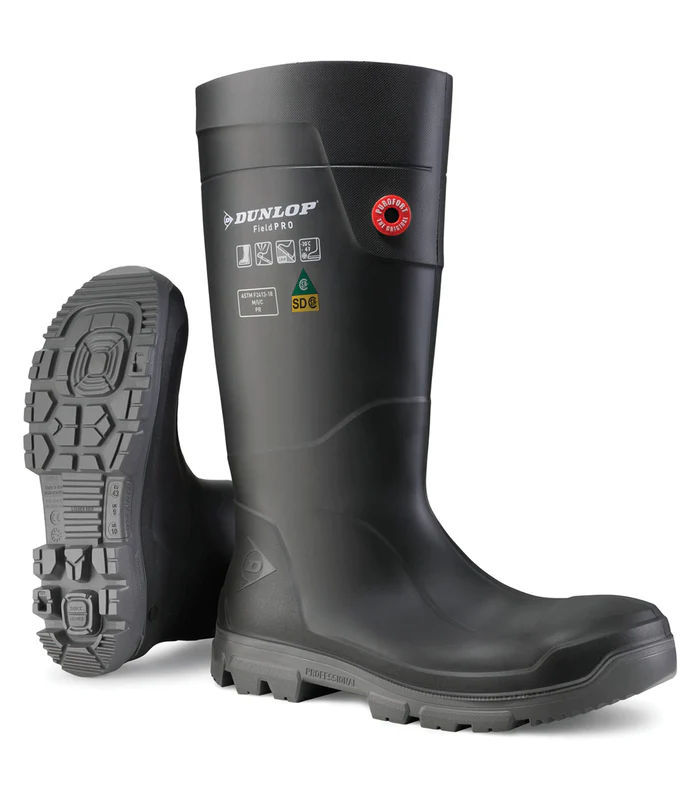 dunlop summers.webp