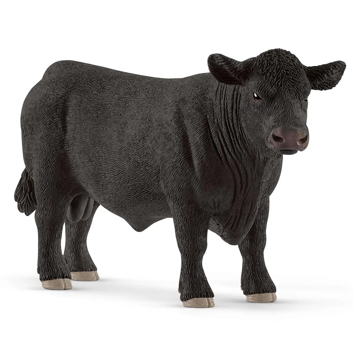 black angus bull.webp