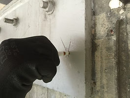 Paintel Lead Test