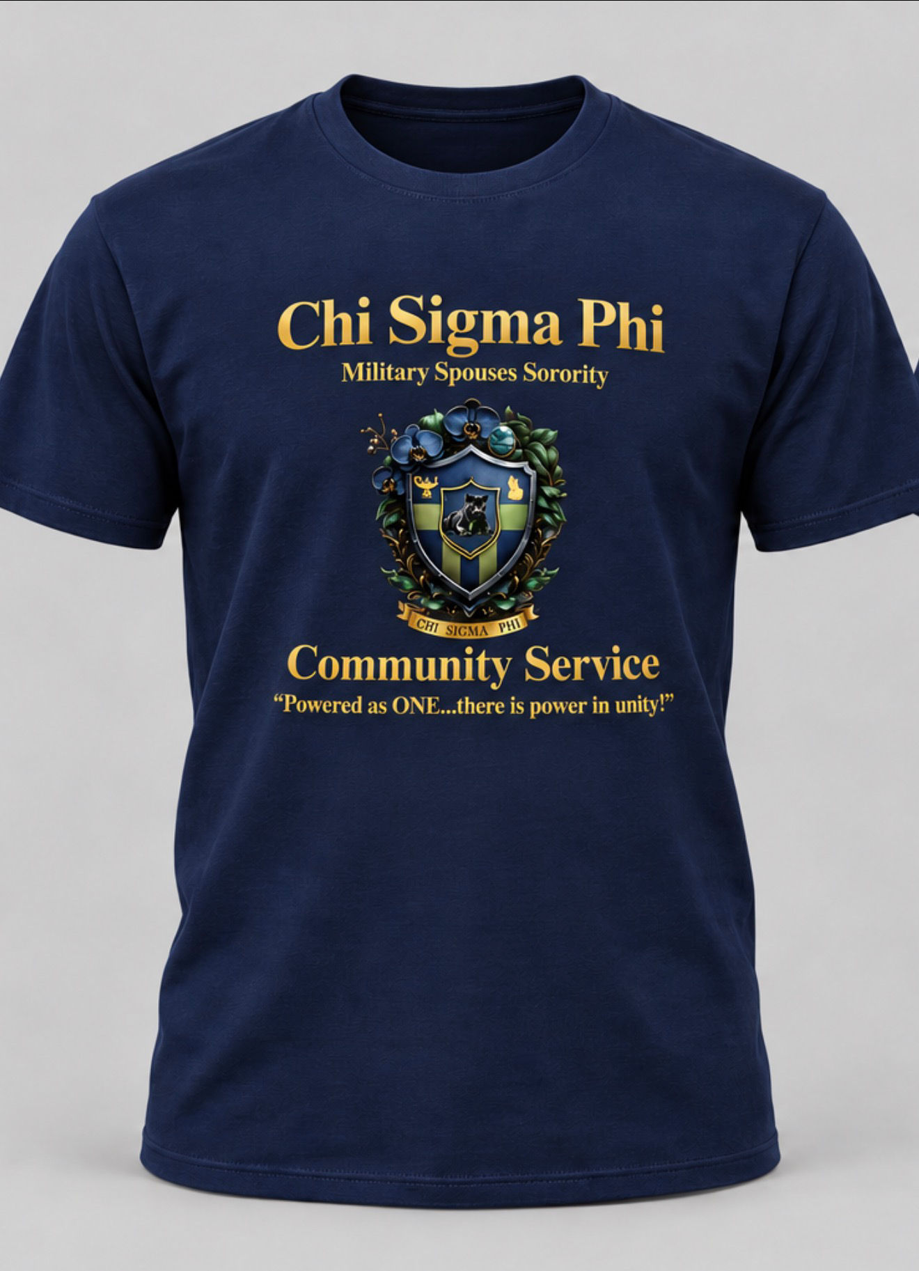 Chi Sigma Phi Community Service Top