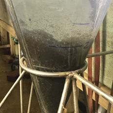 Processing in the hatcher