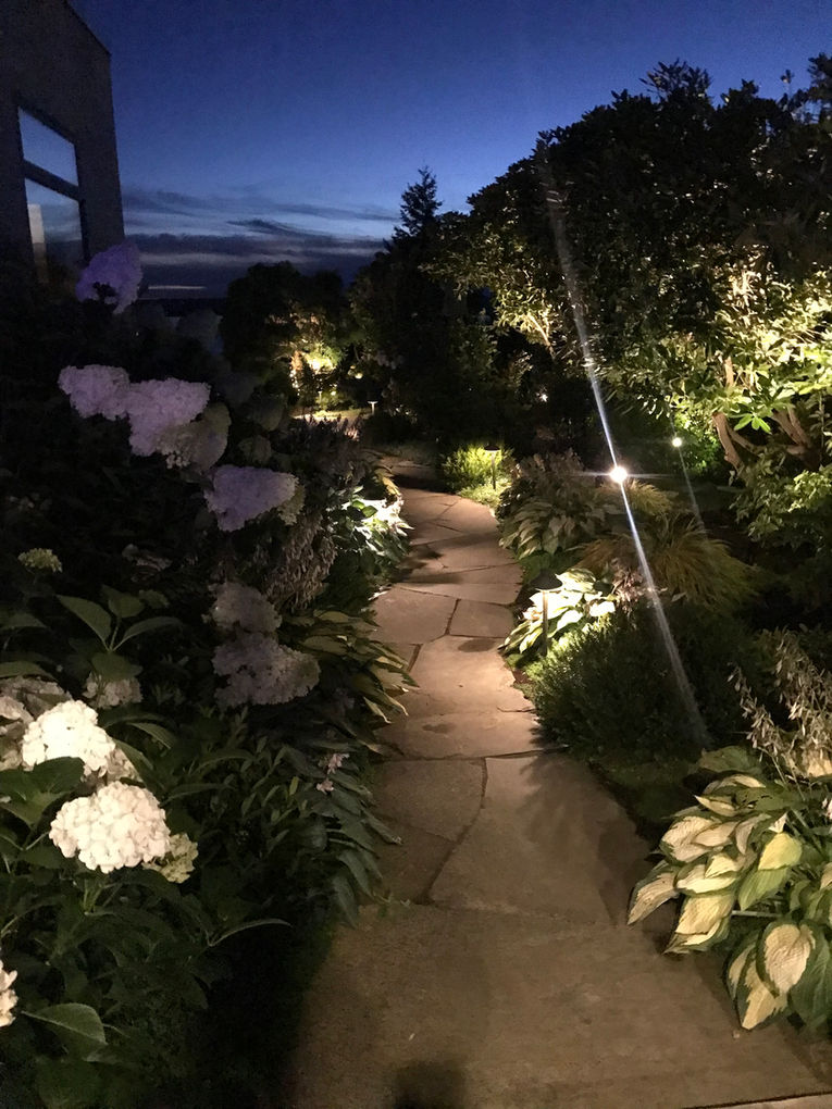 American Rose Garden - Landscape Design - Bellevue, WA