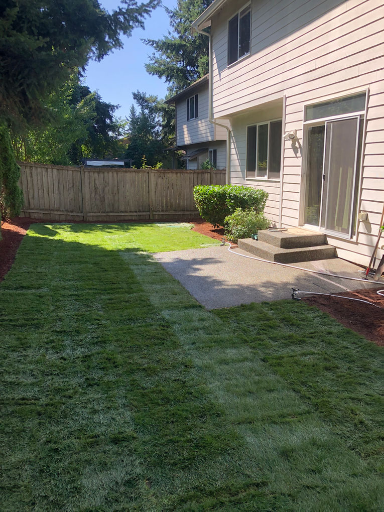 American Rose Garden - Landscape Maintenance - Bellevue, WA