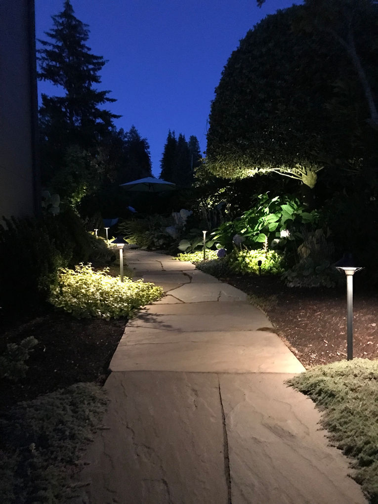 American Rose Garden - Landscape Design - Bellevue, WA