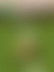 30 dies per salvar el Llémena